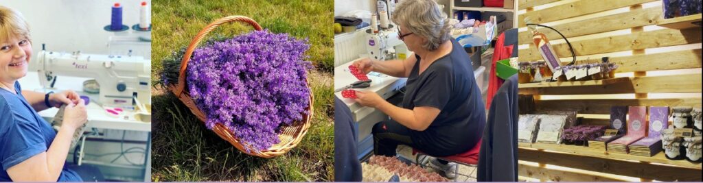 Levandulová farma na jižní Moravě. Buďte jako v Provence.