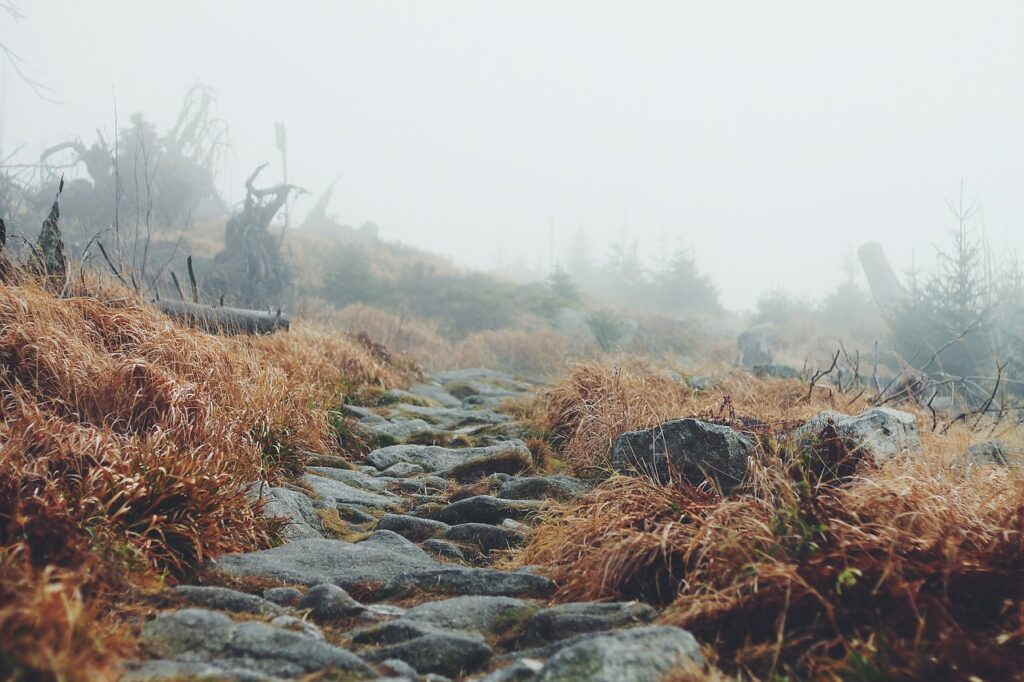 Podzimní krajina s padající mlhou, kamenitá cesta