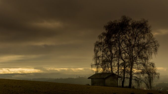 Podvečer, osamělá chata, strom se svěšenými větvemi.