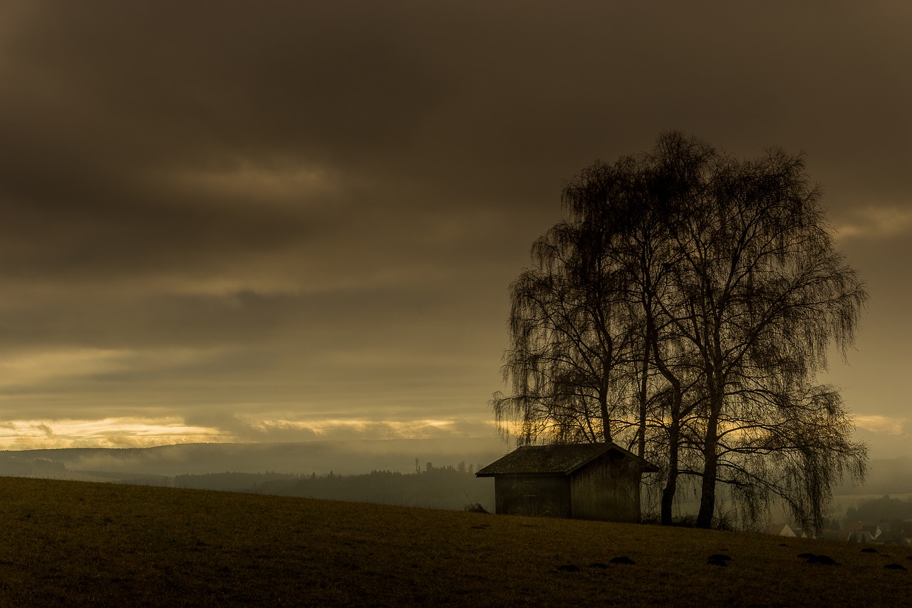 Podvečer, osamělá chata, strom se svěšenými větvemi.