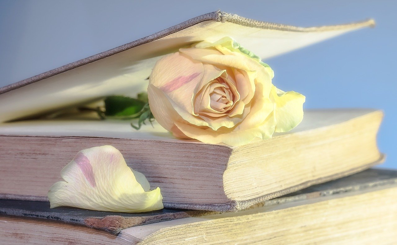 Kniha a v ní zavřená růže