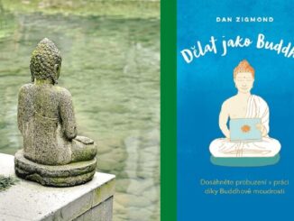 recenze_knihy_delat_jako_buddha_dan_zigmund_asenior_senior
