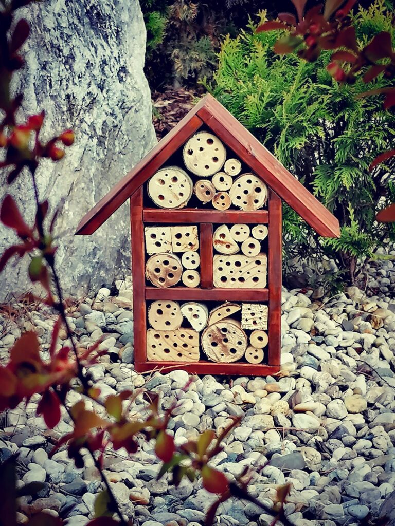 Jak přilákat motýly a čmeláky na balkón, terasu nebo zahrádku?