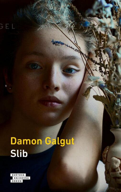 Damon Galgut: Slib