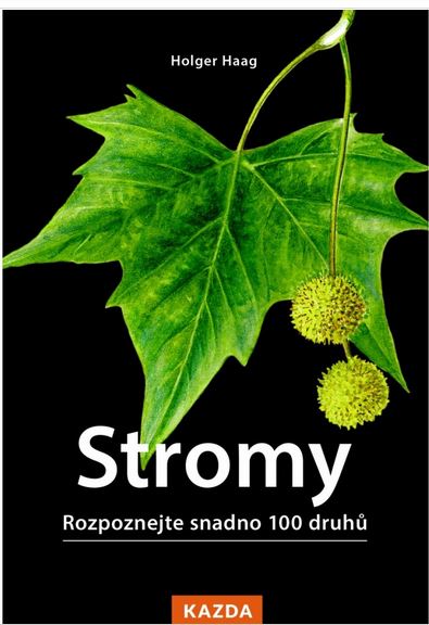 Holger Haag: Stromy