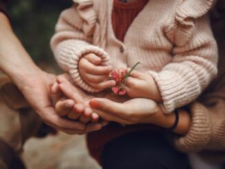 Kolektiv autorů: Rodiny a rodinky