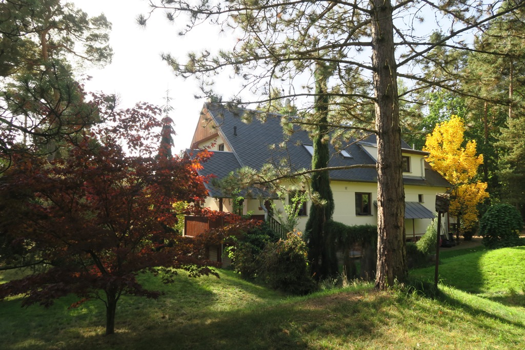 Arboretum Sofronka v Plzni
