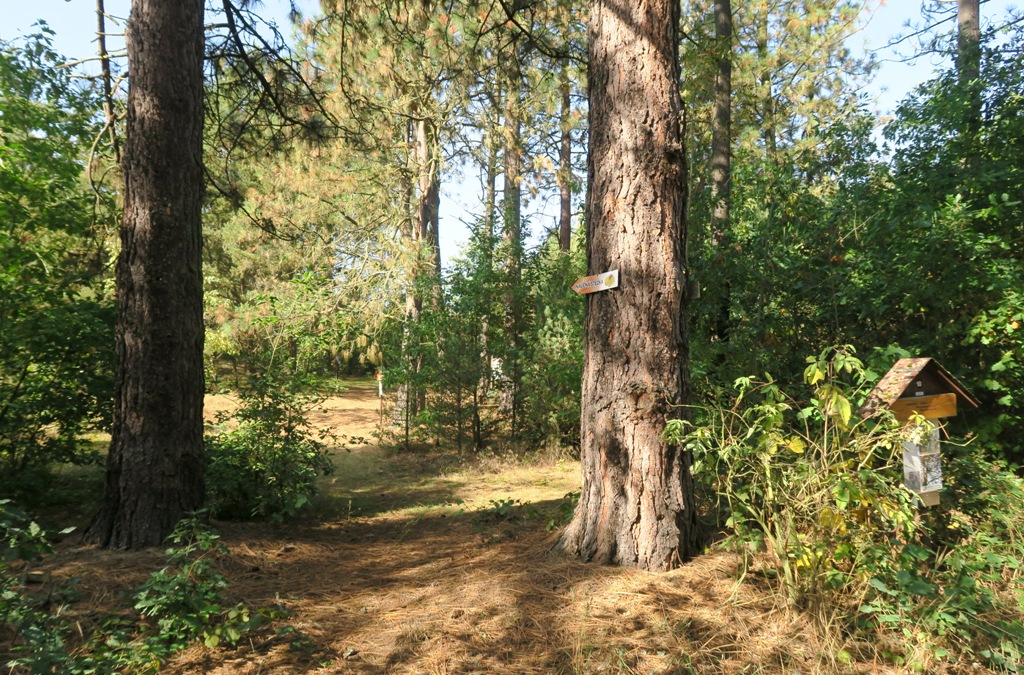 Arboretum Sofronka v Plzni