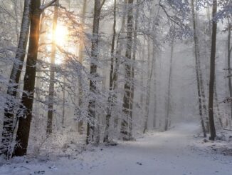 10 faktů o sněhu, které vás možná překvapí