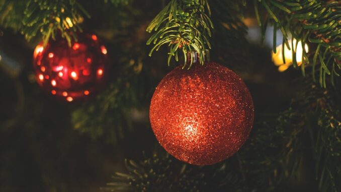 Vánoční stromy Rudolfa Těsnohlídka