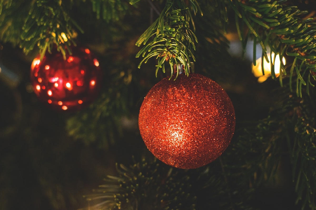 Vánoční stromy Rudolfa Těsnohlídka
