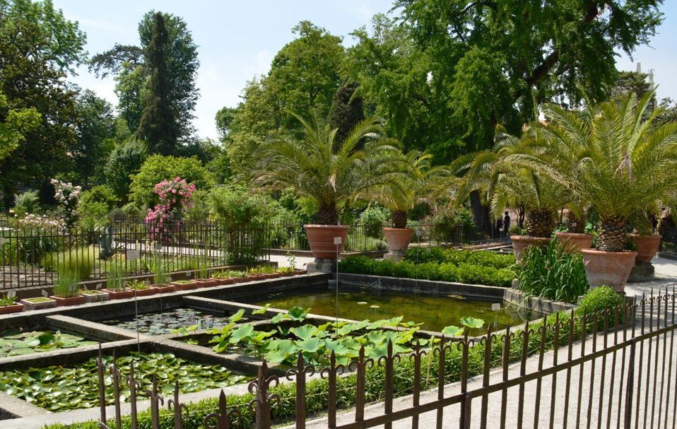 Nejstarší univerzitní botanická zahrada na světě