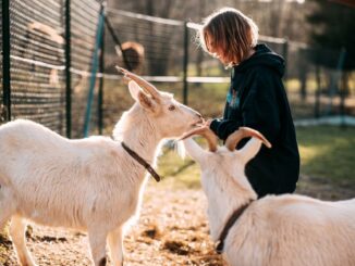 Farma Rybníček. Foto: Eliška Kadlecová. S laskavým svolením Nely Kyselové.